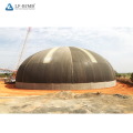 Undertake Project of The Burkina Faso Space Frame Dome Clinker Storage Additive storage